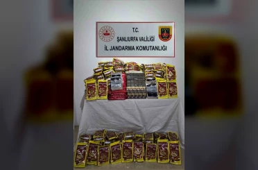 Eyyübiye’de kaçakçılara operasyon 