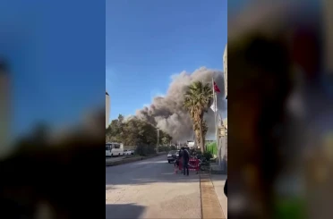Fabrikada yaşanan patlamayla yükselen duman paniğe neden oldu 