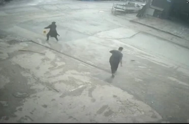 Fareyi süpürgeyle kovaladı, arkadaşı şut atar gibi tekme attı 