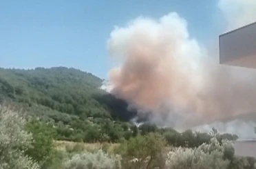Fethiye’de orman yangını