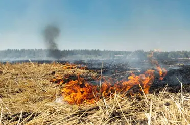 Fırat EDAŞ’tan anız yakma uyarısı
