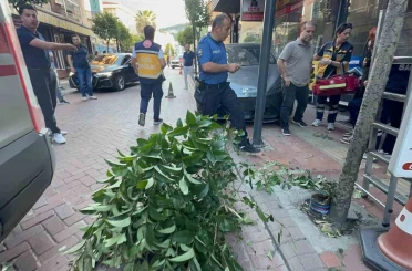 Fren yerine gaza bastı: İki ağacı devirip, duvara çarptıktan sonra durabildi 