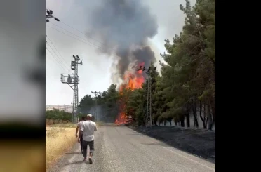 Gaziantep’te orman yangını 