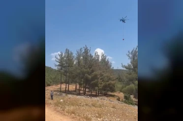 Gaziantep’te orman yangını: Havadan ve karadan müdahaleyle söndürüldü 