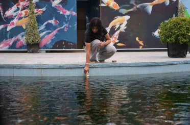 Gaziantep’te rengarenk Japon koi balıklarını ziyaretçiler biberonla besliyor 