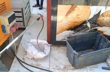 Gaziantep’te yerleşim yerinde yılan paniği 