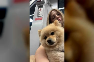 Gaziosmanpaşa’da "petshopta yıkanan köpeğin ihmalden öldüğü" iddiası 