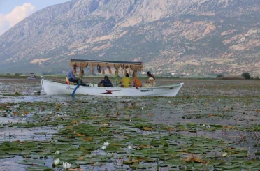 Geçen yıl kuraklık, bu yıl ise aşırı yağışlar nilüferlerin görsel şölenini geciktirdi 