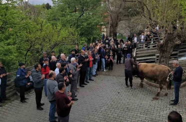 Geçmişten günümüze: Kemaliye’de şükür kurbanı 