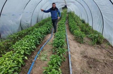 Gediz Ilıca Termal Tatil Köyünde hem sağlık hem de doğal lezzetler bir arada 