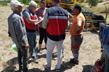 Gediz’de biçerdöverle hasat kontrolleri sürüyor 