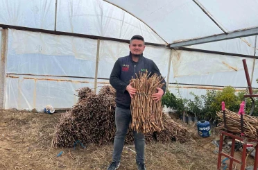Genç kardeşlerden Sarıgöl ekonomisine 700 bin fidan hamlesi 