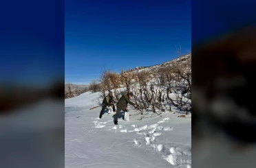 Gercüş’te orman ekibi doğadaki canlıları yalnız bırakmadı 