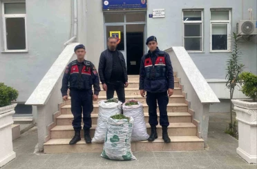 Germencik’te incir bahçesinde jandarmadan suçüstü 