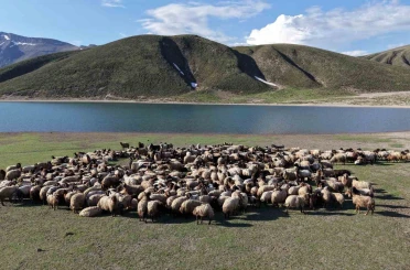 Göçerler 5 aylık yayla sezonunu Bitlis’te açtı 