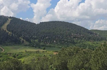 Gökyüzünde pelikan şöleni 
