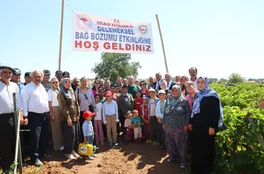Gölbaşı’nda bağ bozumu heyecanı başladı
