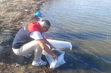 Göletlere 80 bin yavru balık bırakıldı 