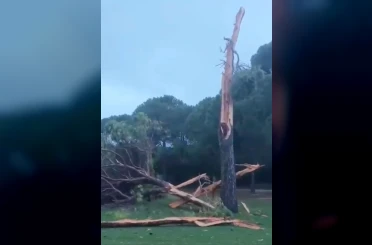 Golf sahasına düşen yıldırım ağacı parçalara ayırdı 