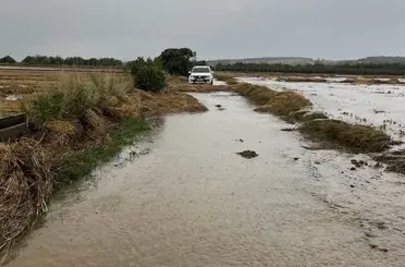 Gönen Sarıköy Ovası’nda çeltik tarlalarını su bastı
