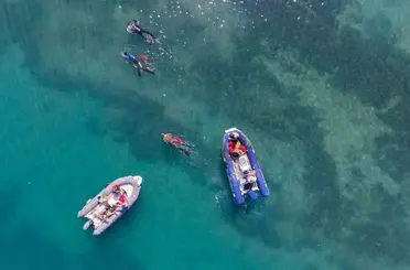 Gümbet’te deniz dibinden 310 kilogram atık çıktı
