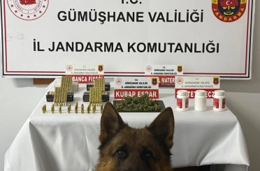 Gümüşhane’de uyuşturucu operasyonu 