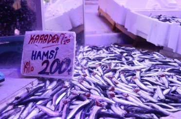 Hamsi tezgahlardaki tahtına yeniden oturdu 