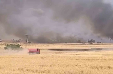 Harran’da yüzlerce dönümlük ekili arazi yandı 