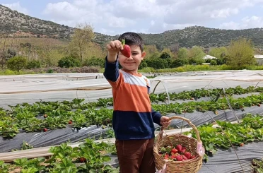 Hasadı çiftçi değil, vatandaş yaptı 