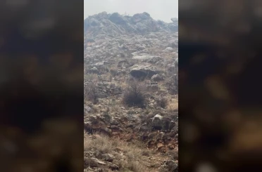 Hasankeyf’te örnek davranış: Sürücü durdu, dağ keçileri geçti 