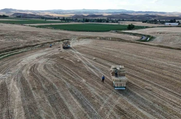 Hasat sonrası balya mesaisi başladı: Günlük kazanç 7 bin lirayı buluyor 