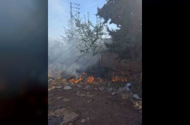 Hassa’da bahçe yangını 