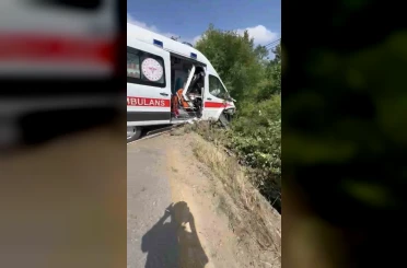 Hasta taşıyan ambulans yoldan çıkarak yeşillik alana savruldu 