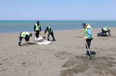 Hatay Büyükşehir Belediyesi, sahillerde temizlik çalışmasını yıl boyu sürdürüyor 