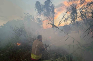 Hatay’da anız yangını büyümeden söndürüldü 