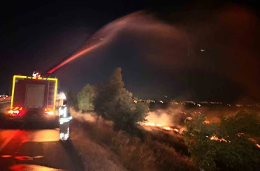 Hatay’da anız yangını zeytinliğe sıçradı: 200 dönüm arazi zarar gördü 