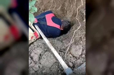 Hatay’da toprağın kaymasıyla göçük altında kalan yavru köpekler kurtarıldı 