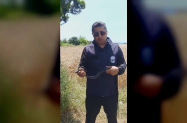 Hatay’da yaşlı kadının evine giren yılanı yakalayan Yılancı Kemal ‘Sevgili karayılan insanlardan uzak dur’ sözleriyle doğaya saldı 