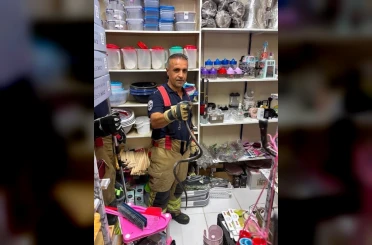 Hatay’da yerleşim alanlarına giren yılanlar doğal yaşam alanına bırakıldı 