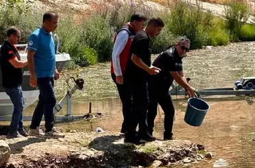 Hatay’daki baraj ve göletlere 682 bin sazan yavrusu bırakıldı
