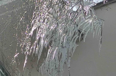 Hava sıcaklığı eksi 10’a düştü, ağaç dalları dondu 