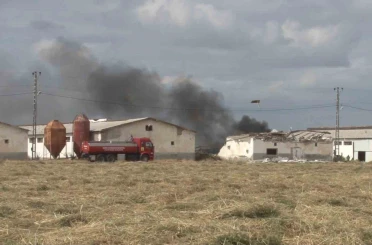 Havai fişek deposunda korkutan yangın 