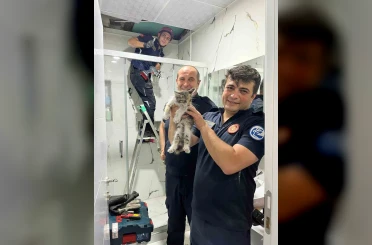 Havalandırma boşluğunda mahsur kalan kediyi itfaiye kurtarıldı 