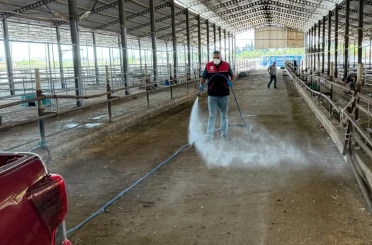 Havran’da kurban bayramı sonrası biyogüvenlik önlemi 