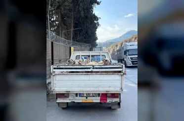 Hayvan hastalıkları ile mücadelede yol kontrolleri devam ediyor 
