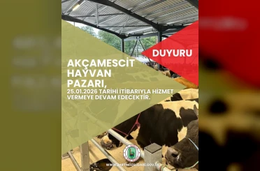 Hayvan pazarı 4 ay sonra yeniden hizmete açılacak 