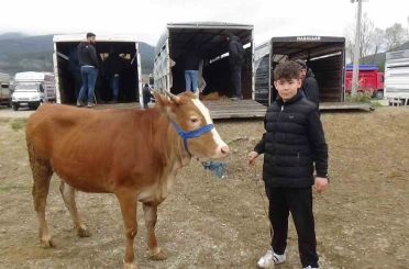 Hayvan pazarının en küçük celepçisi kurbanlık satıyor 