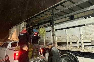Hayvanlar aç kalmasın diye imdada yetiştiler 
