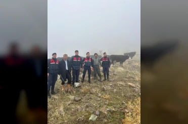 Hayvanları kaybolan kişinin imdadına jandarma yetişti