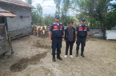 Hayvanlarını kaybeden çiftçinin yardımına Jandarma ekipleri koştu 